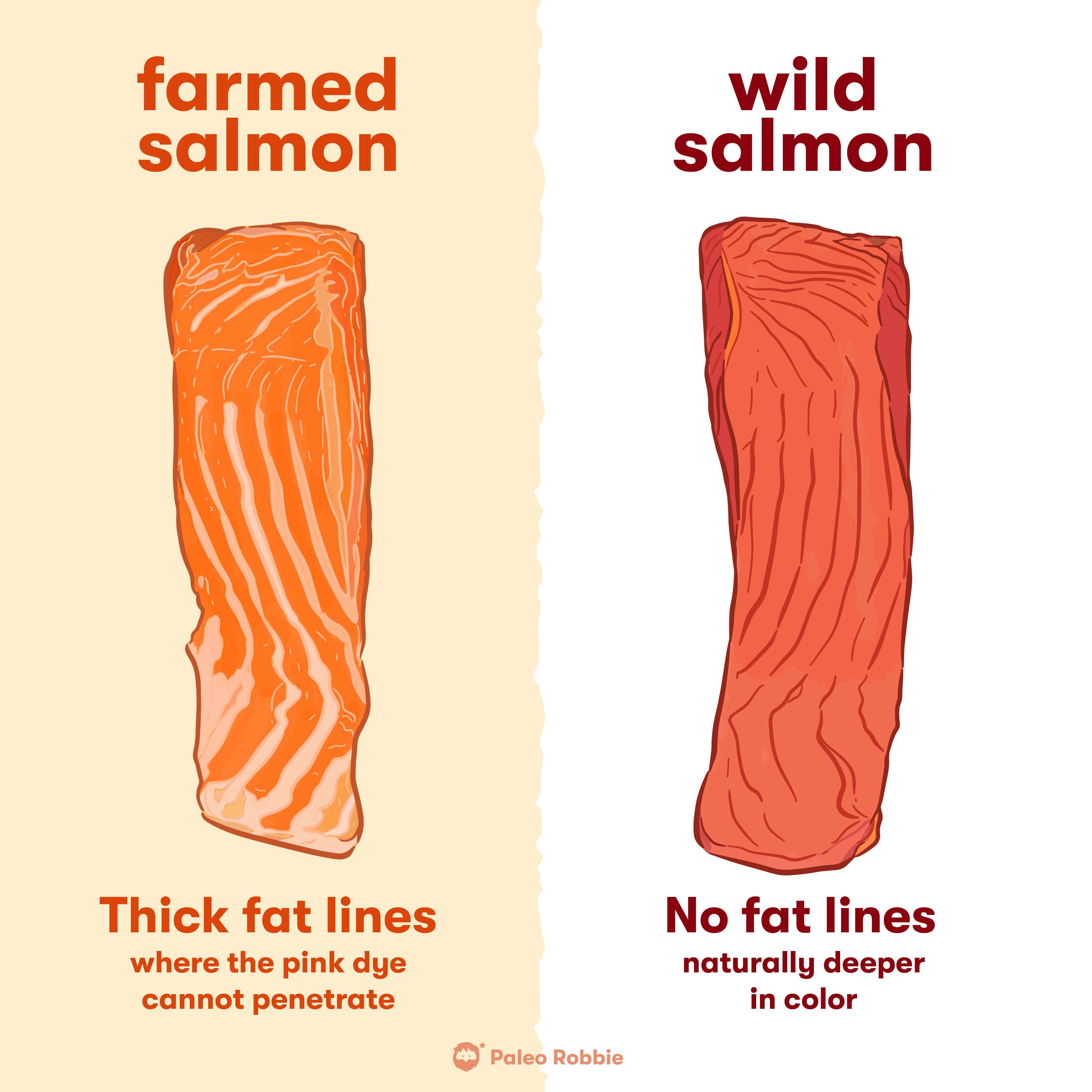 Wild Coho Salmon Fillet Strip
